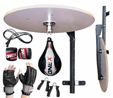 Speed Ball Platform Punching