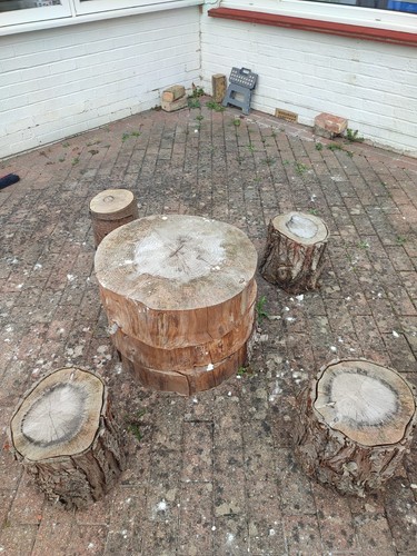 Rustic log garden - garden, table