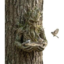 Old Man Tree Face Bird Feeder
