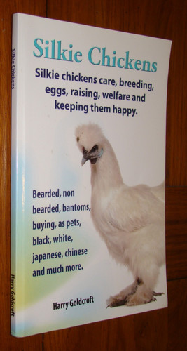 Silkie chickens care breeding - silkie,