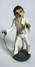 Country Artist Meerkat Elvy -