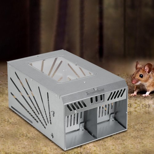 Rat trap double door mouse - rat,