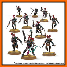 Warhammer 40k Drukhari Dark