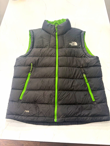 The north face 700 fill - north,