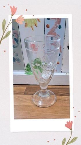 Vintage retro ice - , cream
