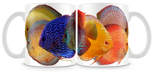 Discus fish mug freshwater - discus,