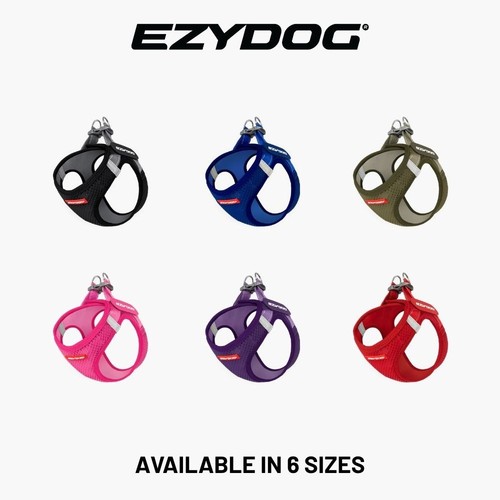 Harness for small dogs - harness,
