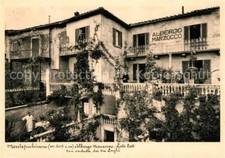 13247519 Montepulciano Albergo Marzocco