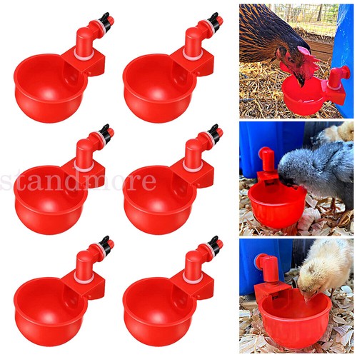 Automatic chicken water cup - automatic,