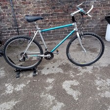 Classic Raleigh M-TRAX