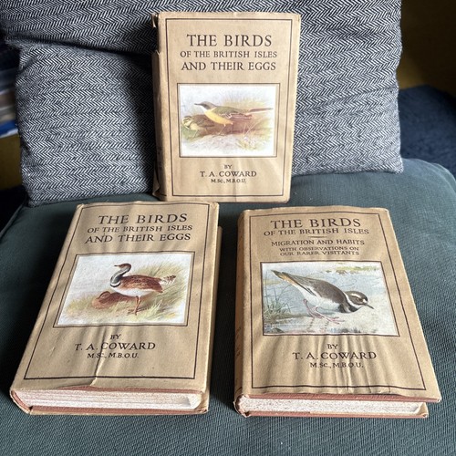 The birds - of, isles