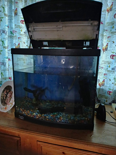 Aqua one aquastart 500 - aqua, glass