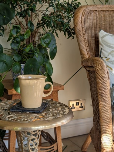 Denby mug - denby,