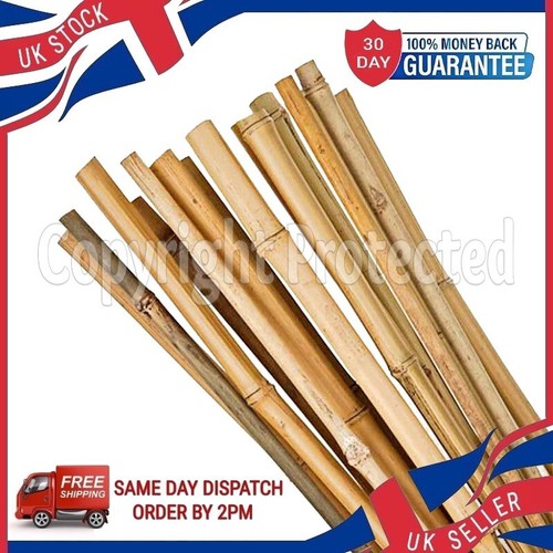 Ten 90cm 3ft natural bamboo - ten,