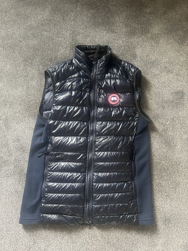 Canada goose hybridge - hybridge, lite