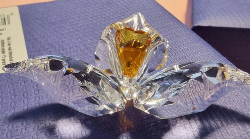 Swarovski 2018 scs members - scs,