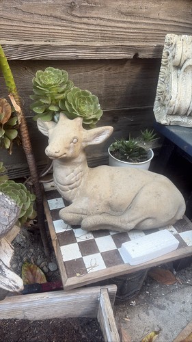 Concrete deer fawn - concrete,