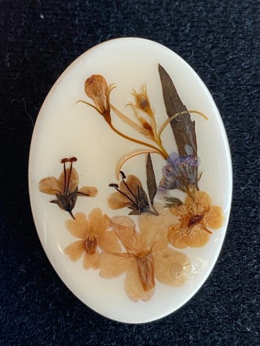 Vintage resin brooch real - brooch,