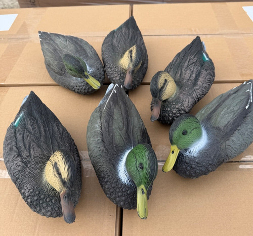 Set teal style decoy - of,
