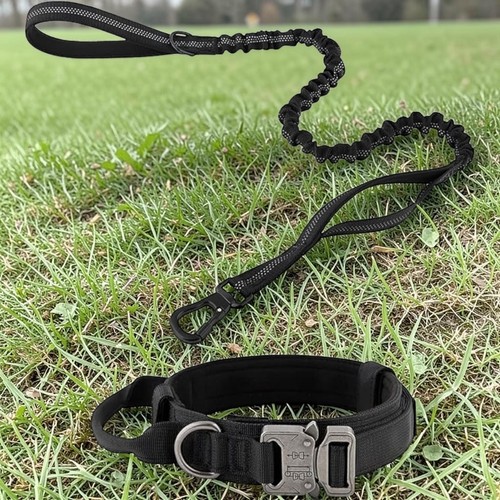 Dog tactical collar - collar, set