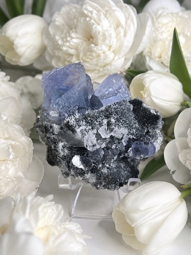 Rare cubic blue fluorite - cubic,
