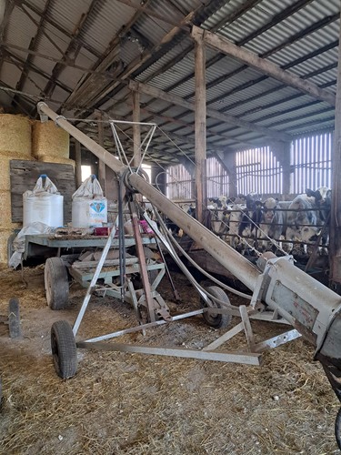 Trial auger hydraulic - auger,