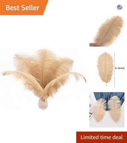 Elegant inch champagne - elegant, 8-10