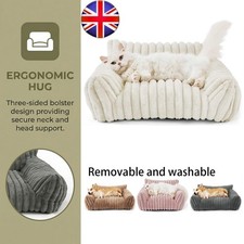 Luxury Plush Orthopaedic Dog