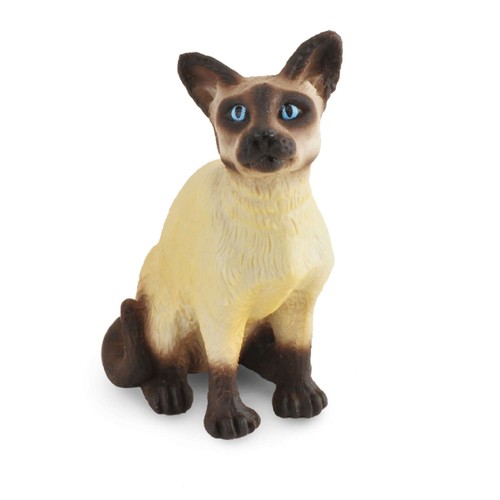 Collecta siamese cat sitting - cat,
