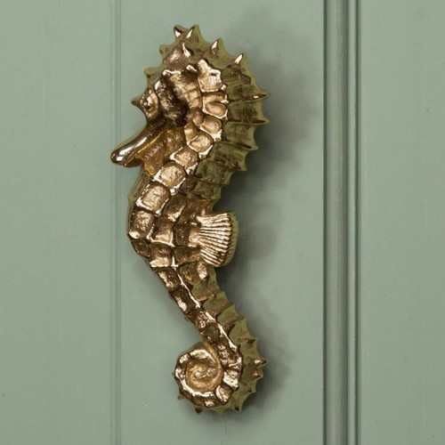 Polished brass seahorse door - polished,