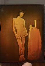 True  3D laser hologram
