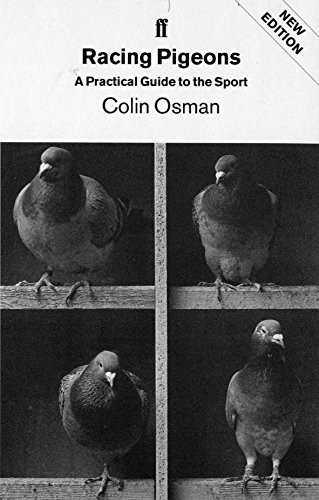 Racing pigeons osman - -, osman,