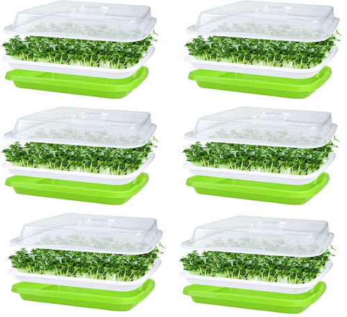 Kaheign 6pcs seed sprouting - kaheign,