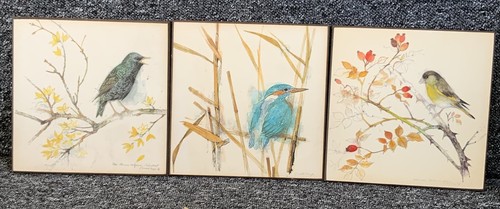 Mads stage bird prints 1976 - bird,