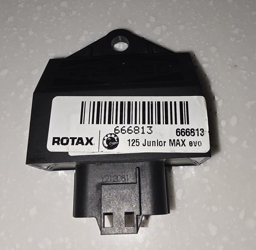 Junior rotax max - junior,