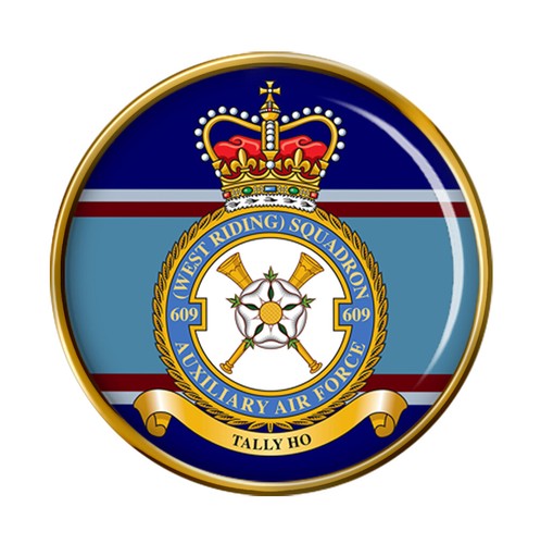 609 squadron rauxaf pin - squadron,