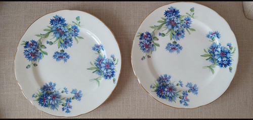 Hammersley set of 2 bone - co,