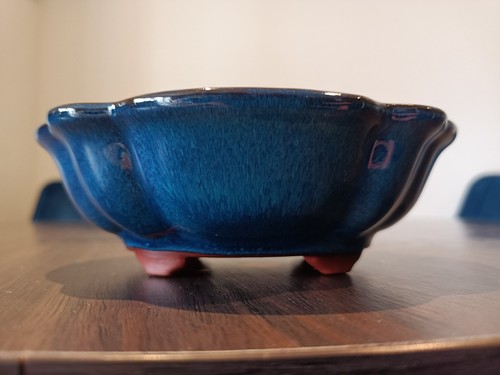 Bonsai pot ceramic - bonsai, small