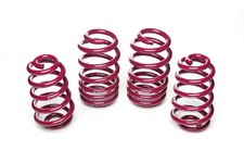 Vogtland lowering springs - vogtland,