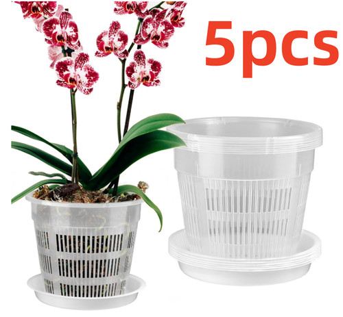 5pcs clear orchid pot with - 5pcs,