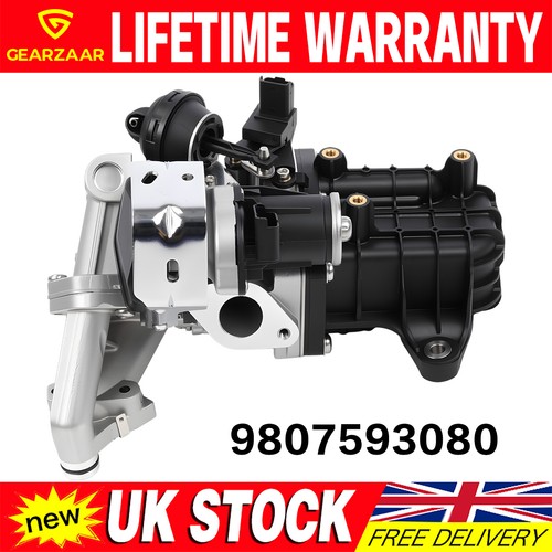 Egr valve cooler module - &, for