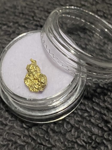 42g raw gold alaskan - 1.42g, nuggets