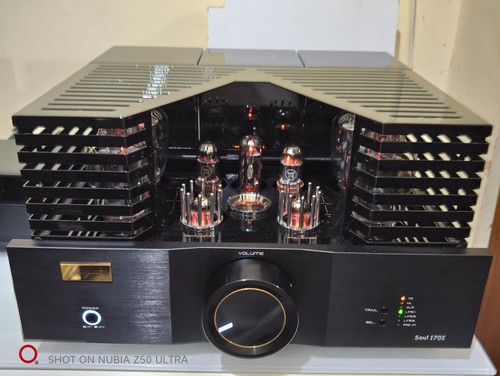 Cayin soul 170i kt170 - cayin,
