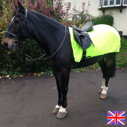 Ride exercise rug light - on,
