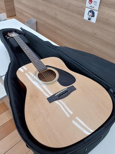 Yamaha acoustic f310p - yamaha,