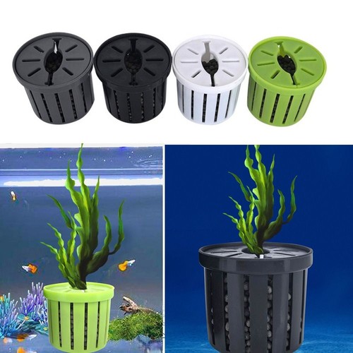 Water plant stand - plant, hanging