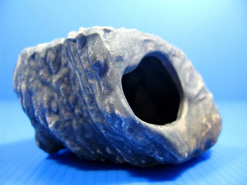 Aquarium decorations cichlid - decorations,