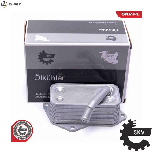 Oil cooler engine - oil, 31skv224