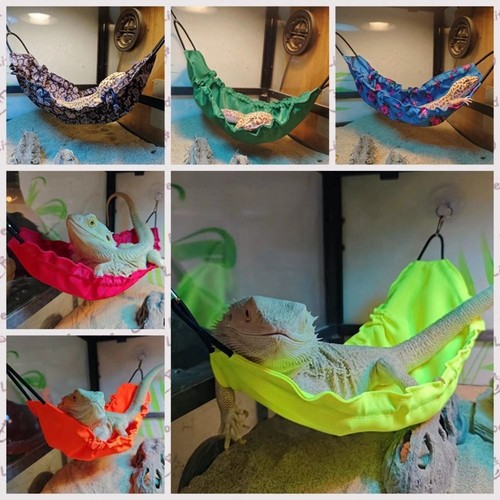 Reptile hammock cotton lizard - reptile,