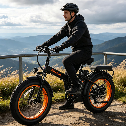 Narrak fat tire 4 - fat,